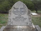 image of grave number 219051